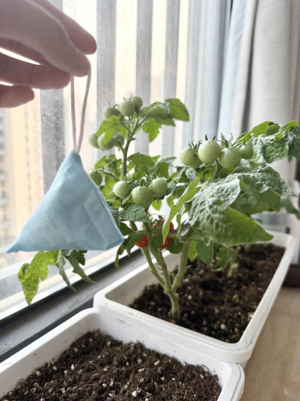 刘甜甜2024413795（8）